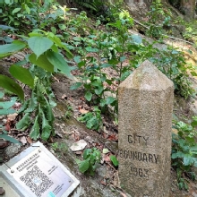 Thumbnail of pic_EE_011.jpg
