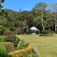 Thumbnail of pic_KL_Sin_018.jpg