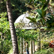 Thumbnail of pic_KL_Sin_034.jpg