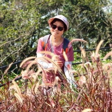 Thumbnail of pic_KL_Sin_049.jpg