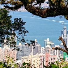 Thumbnail of pic_KL_Sin_059.jpg