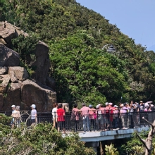 Thumbnail of pic_KL_Sin_073.jpg