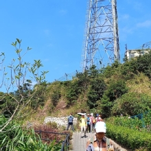 Thumbnail of pic_Mingle_Tam_025.jpg