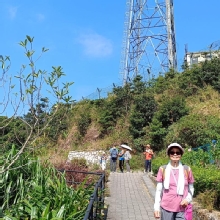 Thumbnail of pic_Mingle_Tam_027.jpg