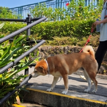 Thumbnail of pic_XF_Liu_026.jpg