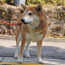 Thumbnail of pic_XF_Liu_027.jpg