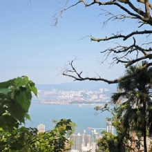Thumbnail of pic_XF_Liu_031.jpg