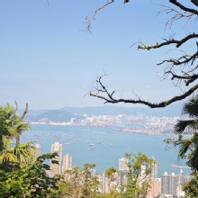 Thumbnail of pic_XF_Liu_032.jpg