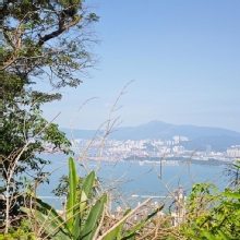 Thumbnail of pic_XF_Liu_034.jpg