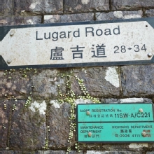 Thumbnail of pic_XF_Liu_038.jpg