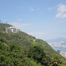 Thumbnail of pic_XF_Liu_055.jpg