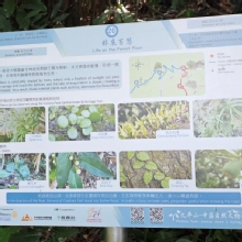 Thumbnail of pic_XF_Liu_063.jpg