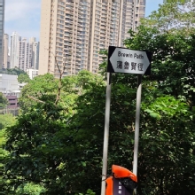 Thumbnail of pic_XF_Liu_071.jpg