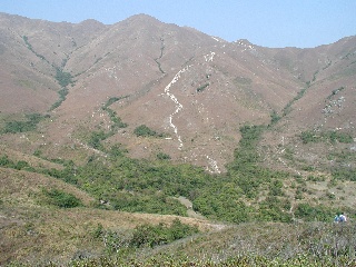 nst1.jpg (45074 bytes)