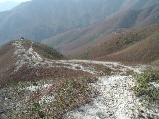 nst2.jpg (48876 bytes)