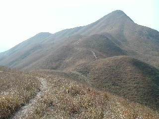 nst6.jpg (37709 bytes)