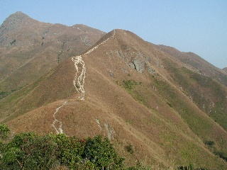 nst8.jpg (39192 bytes)